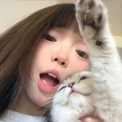 黑猫扎飞